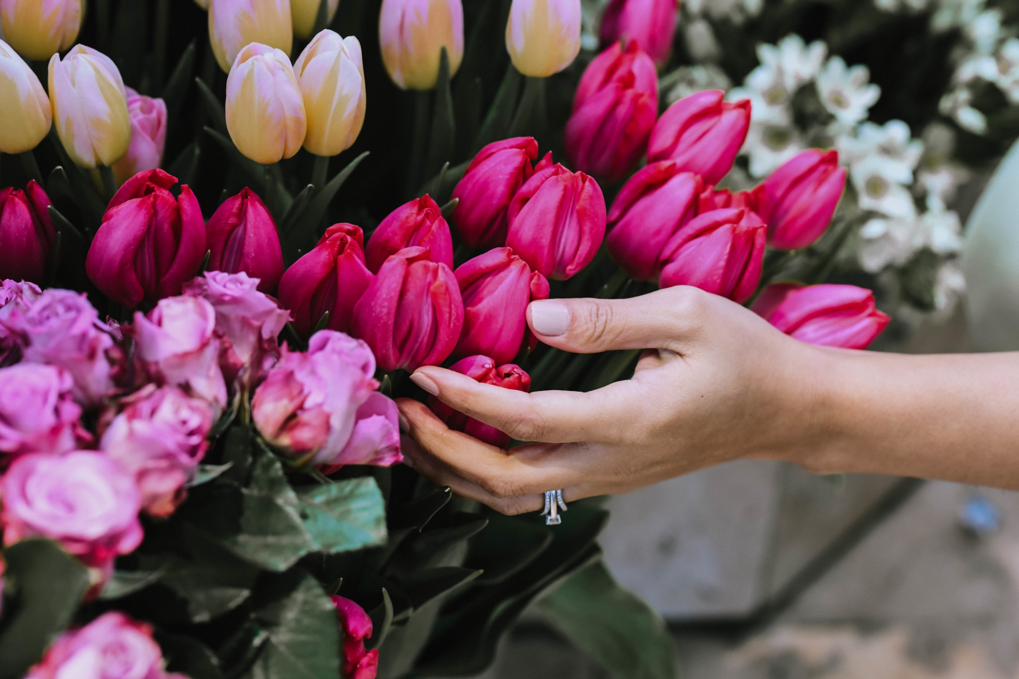 Christy gently holding bright pink tulips at a flower market.